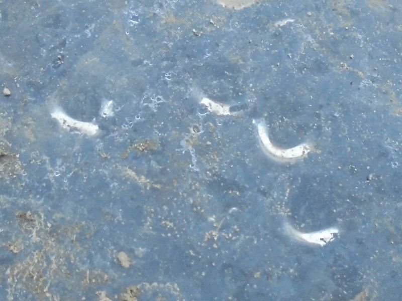 f:id:ogohnohito:20170404184329j:image:w160