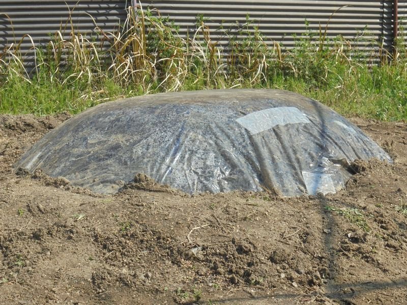 f:id:ogohnohito:20170404195312j:image:w320