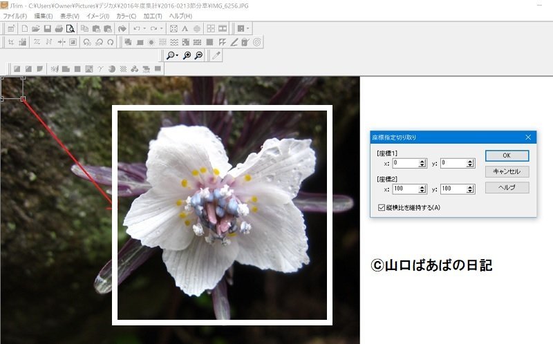 f:id:ogohnohito:20180125144450j:image:w600 f:id:ogohnohito:20180125144450j:image:w600
