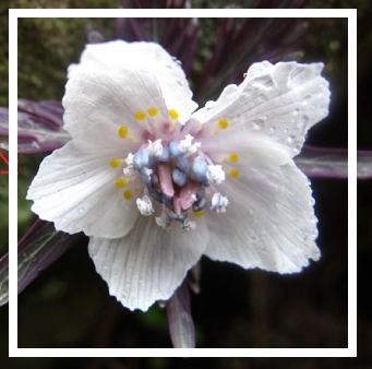 f:id:ogohnohito:20180125150143p:image:w240:right f:id:ogohnohito:20180125150143p:image:w240:right