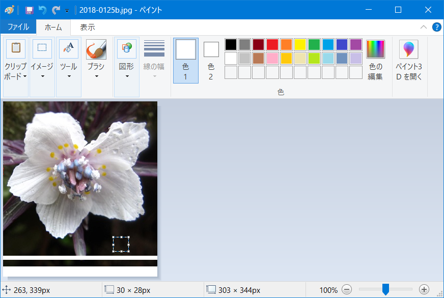f:id:ogohnohito:20180125154350p:image:w600 f:id:ogohnohito:20180125154350p:image:w600