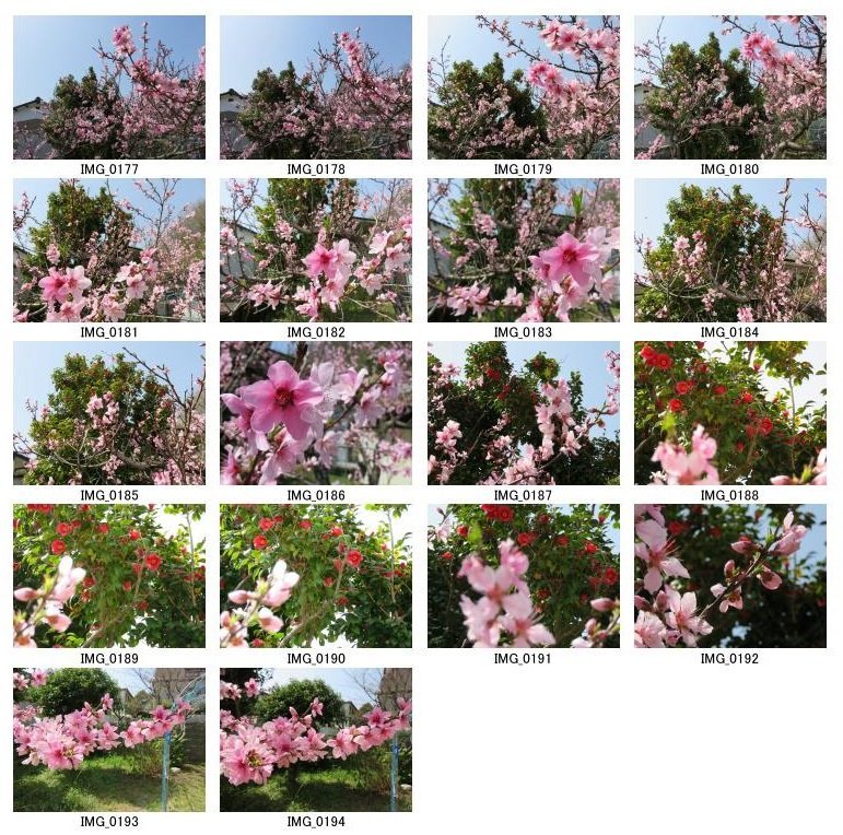f:id:ogohnohito:20180401094920j:image:w600 f:id:ogohnohito:20180401094920j:image:w600