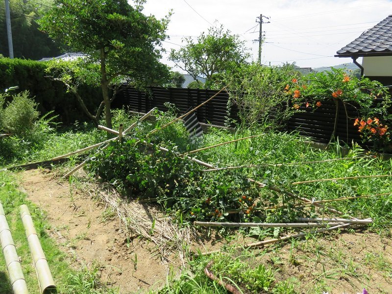 f:id:ogohnohito:20180705080930j:image:w400 f:id:ogohnohito:20180705080930j:image:w400