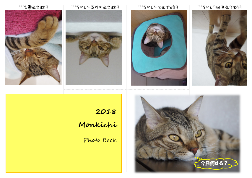 f:id:ogohnohito:20180811095259p:image:w600 f:id:ogohnohito:20180811095259p:image:w600