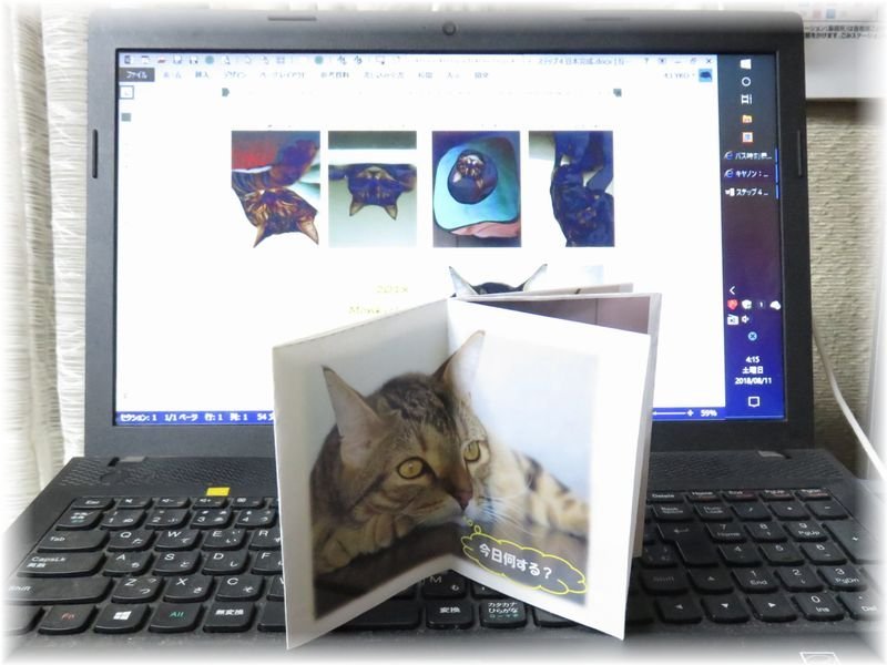 f:id:ogohnohito:20180811095352j:image:w512 f:id:ogohnohito:20180811095352j:image:w512