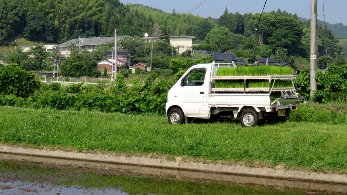 f:id:ogohnohito:20190621103543j:plain:w600 f:id:ogohnohito:20190621103543j:plain:w600