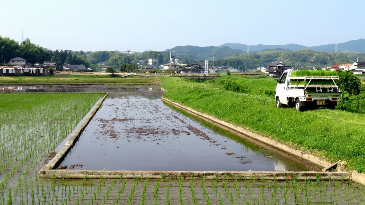 f:id:ogohnohito:20190621103732j:plain f:id:ogohnohito:20190621103732j:plain