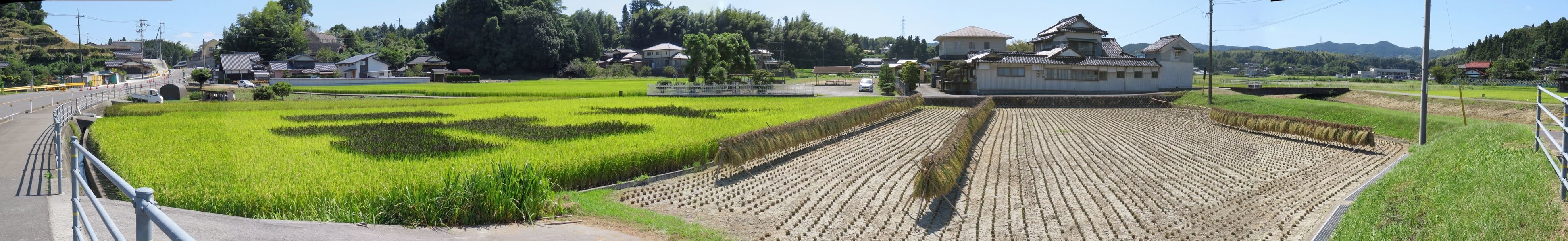 f:id:ogohnohito:20190919153141j:image:w600 f:id:ogohnohito:20190919153141j:image:w600