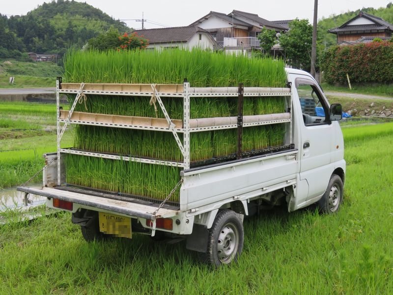 f:id:ogohnohito:20200621220546j:plain:left:w400