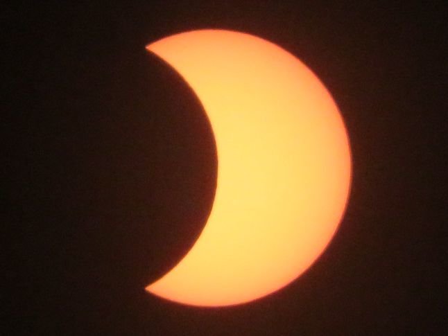 f:id:ogohnohito:20200621223430j:plain:right:w320