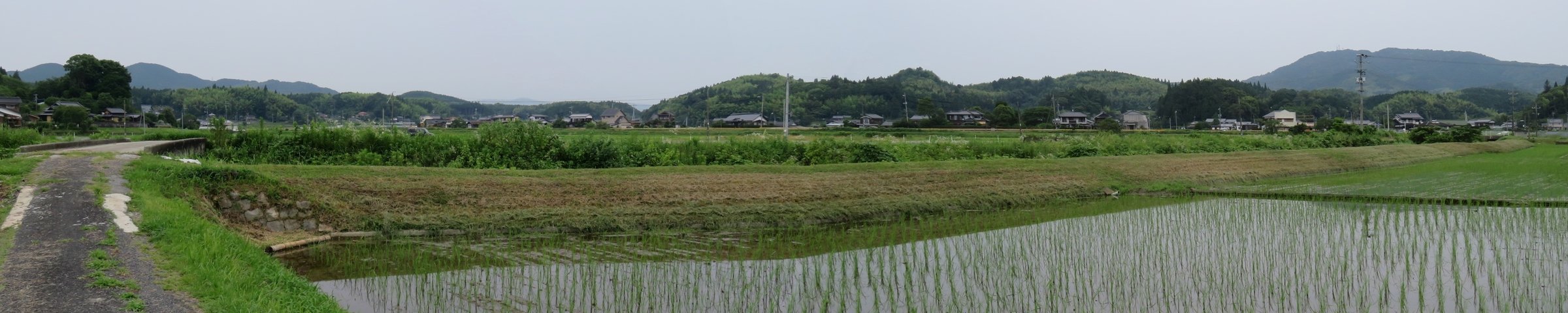 f:id:ogohnohito:20200703124012j:image:w600 f:id:ogohnohito:20200703124012j:image:w600