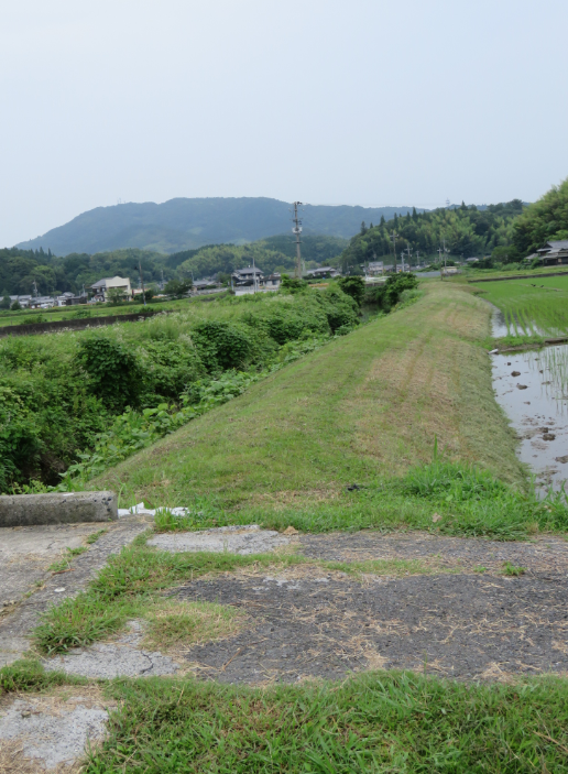 f:id:ogohnohito:20200703145804p:image:w240