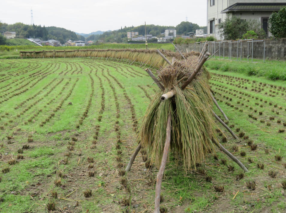 f:id:ogohnohito:20201012120351p:image:w600 f:id:ogohnohito:20201012120351p:image:w600