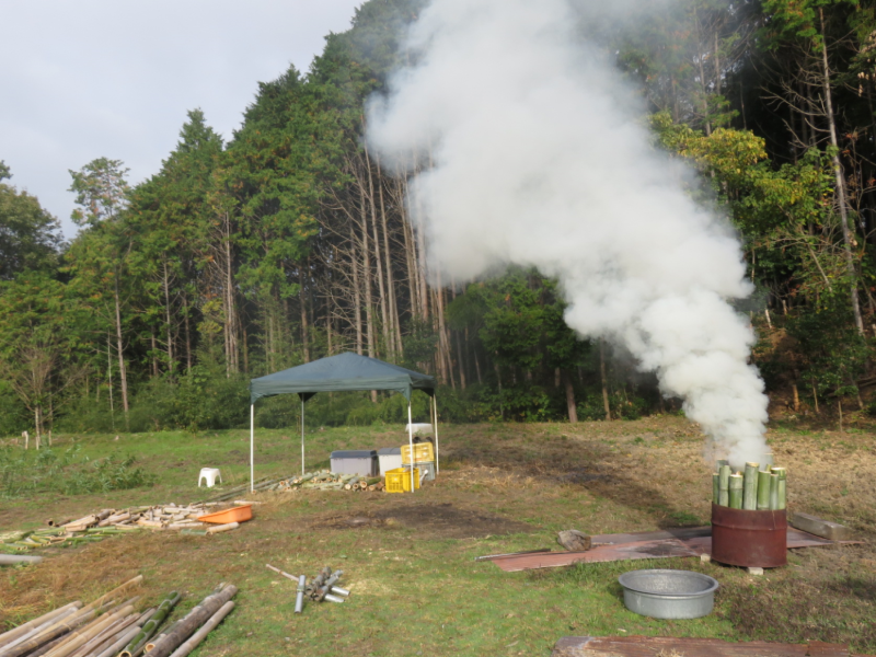 f:id:ogohnohito:20201116182411p:image:right:w360