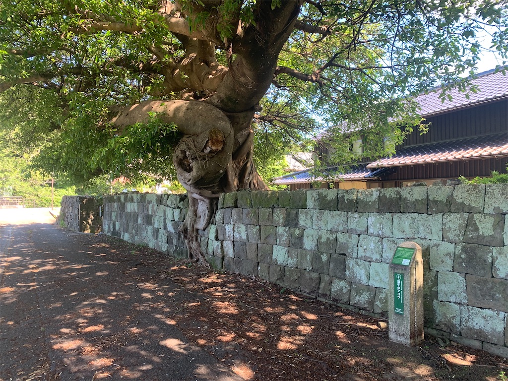 f:id:ogorimatuzaki:20240729105448j:image