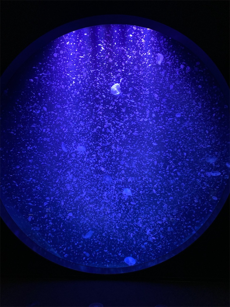 f:id:ogtblog:20210430175639j:image f:id:ogtblog:20210430175639j:image