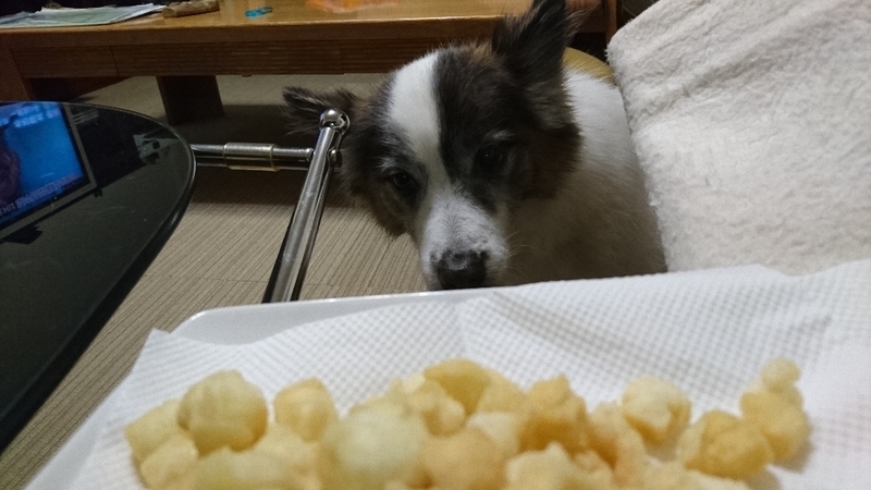 イメージ 6