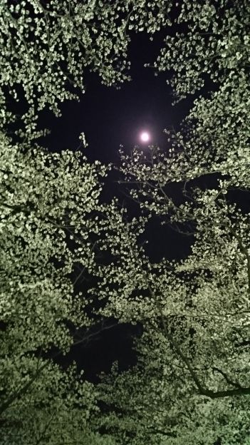 20180327205702 20180327205702