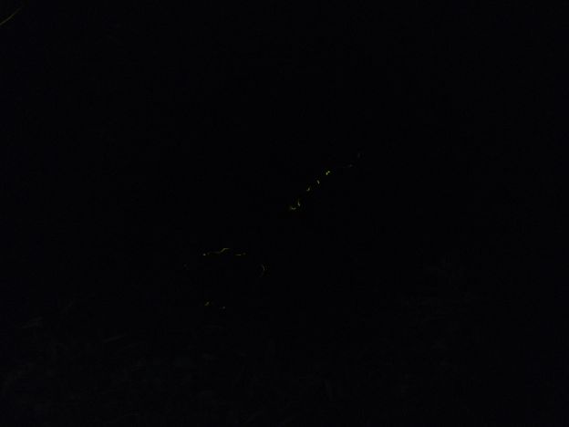 20180622214632 20180622214632