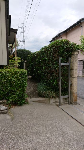 20190429162913