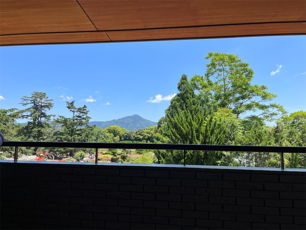 f:id:ogurafuzuki:20220529145957j:image f:id:ogurafuzuki:20220529145957j:image