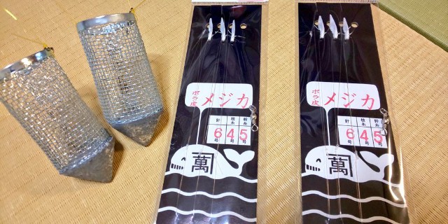 メジカ新子 ぐらぐら釣行記