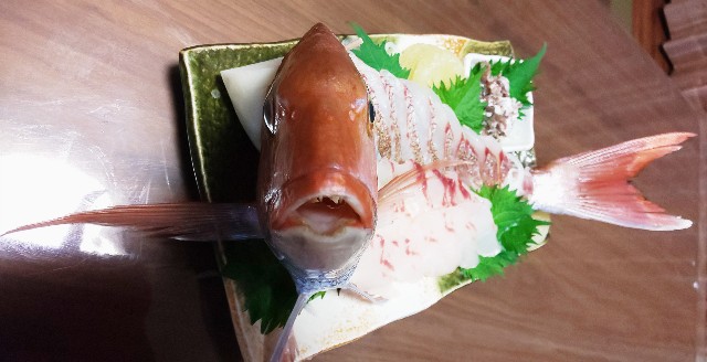 f:id:oguragura:20200319204548j:plain f:id:oguragura:20200319204548j:plain