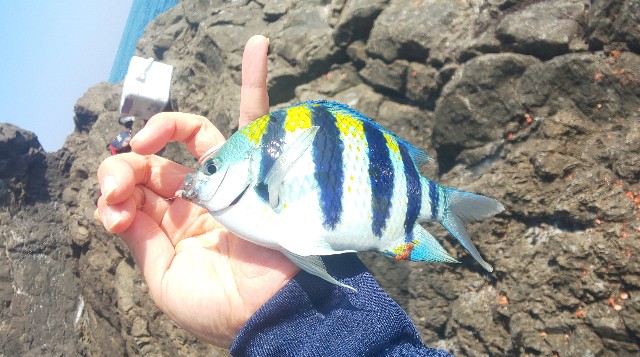 f:id:oguragura:20201030211712j:plain f:id:oguragura:20201030211712j:plain