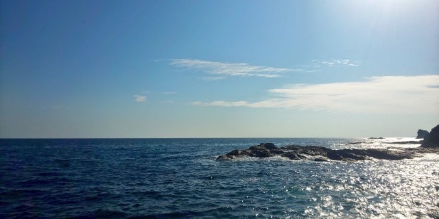 f:id:oguragura:20201030222206j:plain f:id:oguragura:20201030222206j:plain
