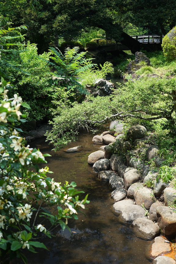 f:id:ogurin:20200620123602j:plain
