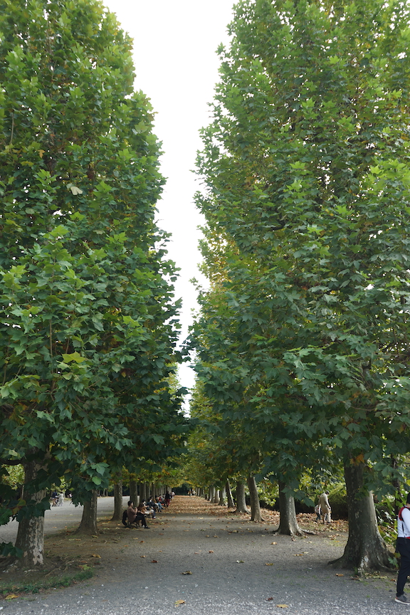 f:id:ogurin:20201101124837j:plain