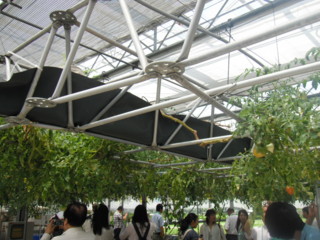f:id:ogurom:20110708105535j:image:right f:id:ogurom:20110708105535j:image:right