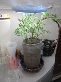 f:id:ogurom:20110708121127j:image:right f:id:ogurom:20110708121127j:image:right