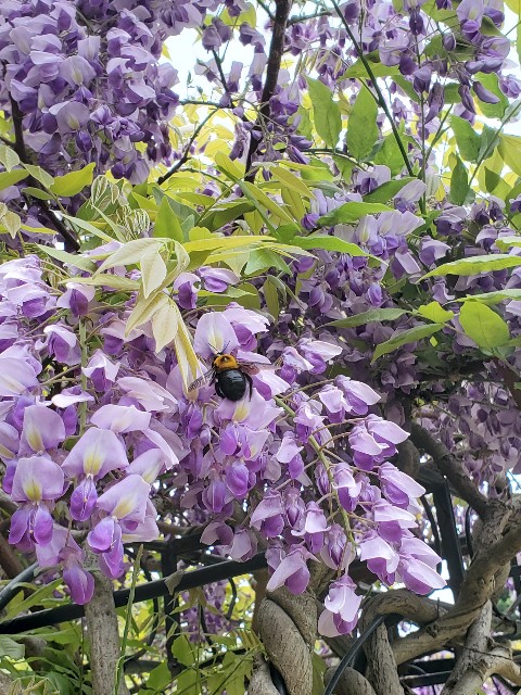 f:id:oh_blue:20250426111824j:image