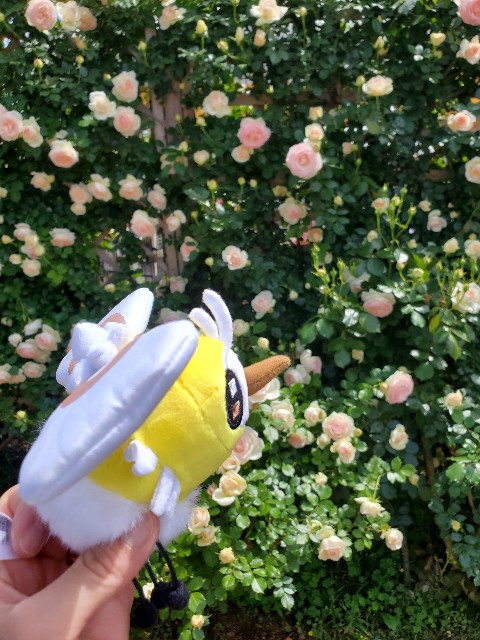 f:id:oh_blue:20250702231931j:image
