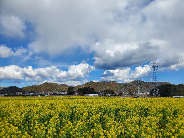 f:id:oh_blue:20250702232152j:image