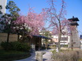 080406kanazawa