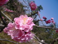 080406kanazawa