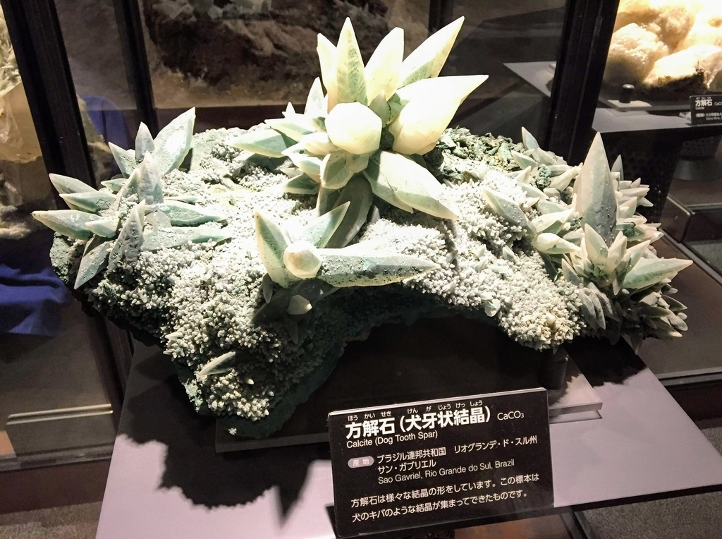 f:id:oh_ocean:20190310180612j:plain