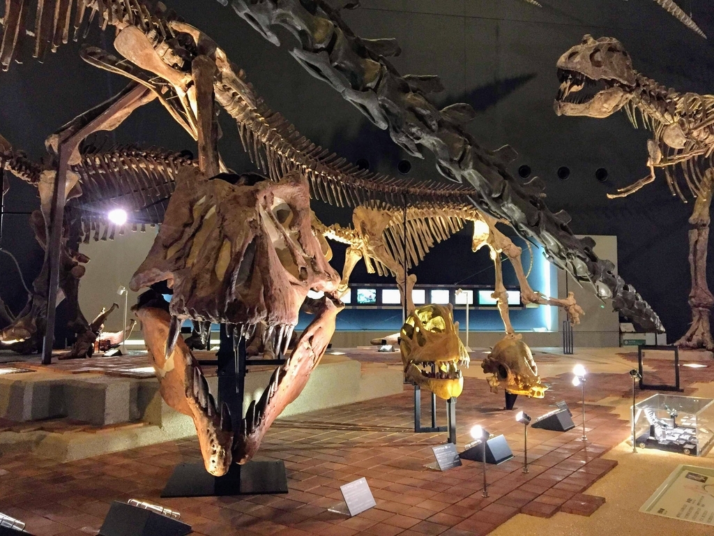 f:id:oh_ocean:20190310180628j:plain