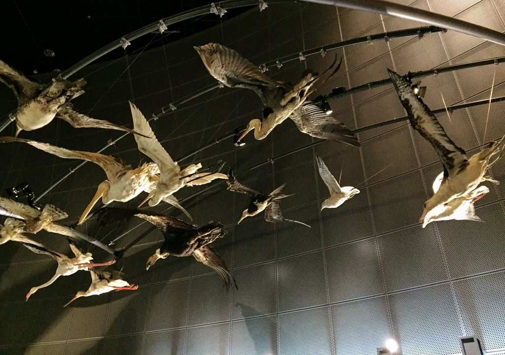 f:id:oh_ocean:20190310180704j:plain