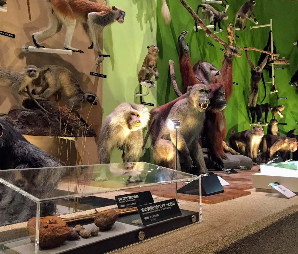 f:id:oh_ocean:20190310180746j:plain