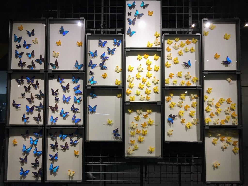 f:id:oh_ocean:20190310180805j:plain