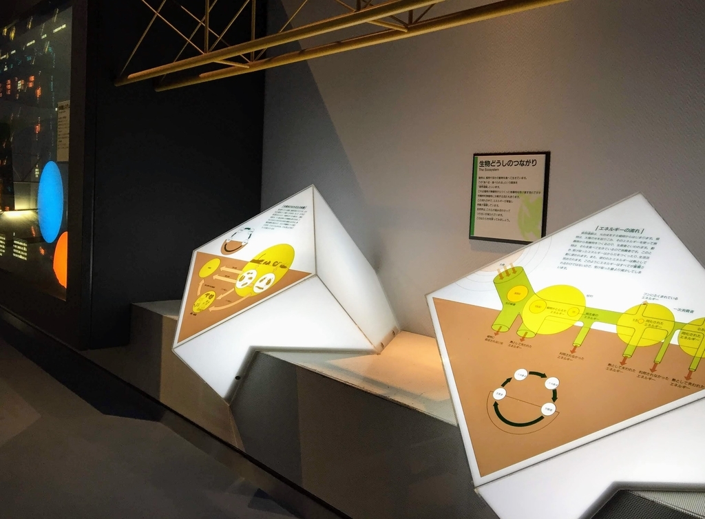 f:id:oh_ocean:20190310180907j:plain