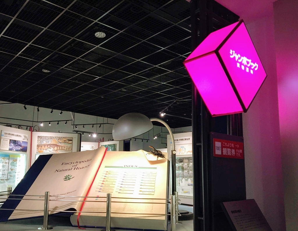 f:id:oh_ocean:20190310180923j:plain