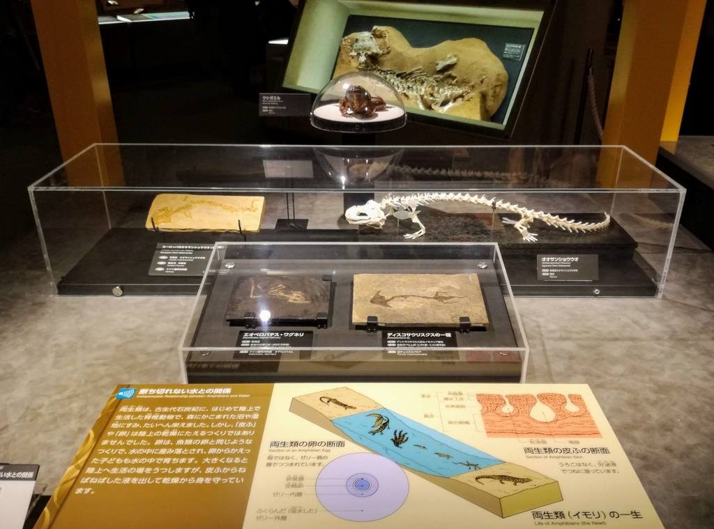 f:id:oh_ocean:20190310181224j:plain