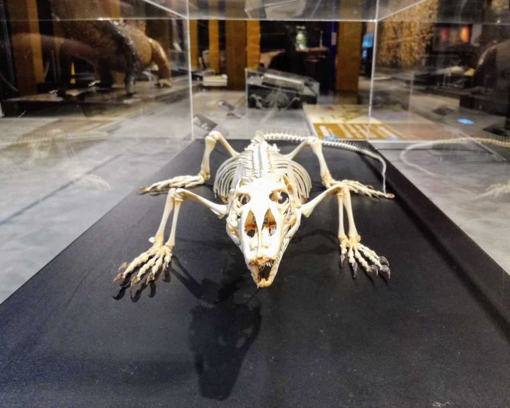 f:id:oh_ocean:20190310181248j:plain