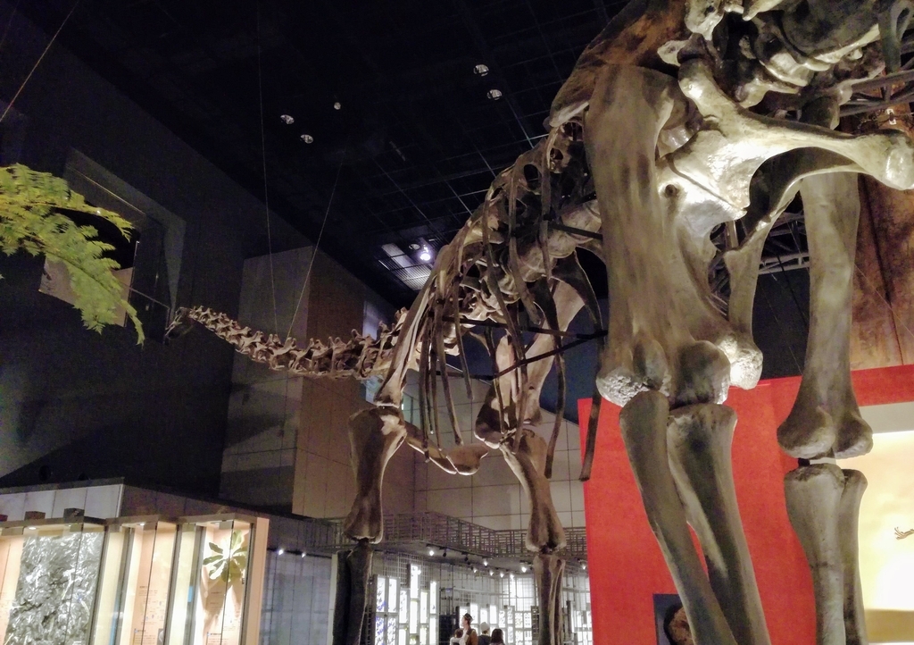 f:id:oh_ocean:20190310181306j:plain