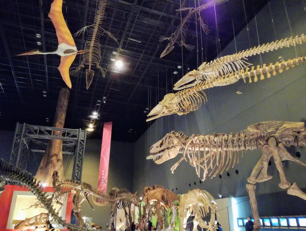 f:id:oh_ocean:20190310181343j:plain