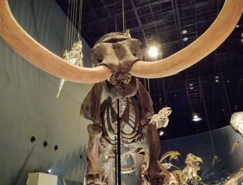 f:id:oh_ocean:20190310181356j:plain